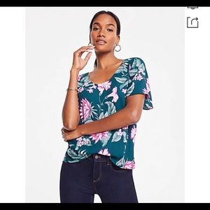 NWT ann taylor shirt